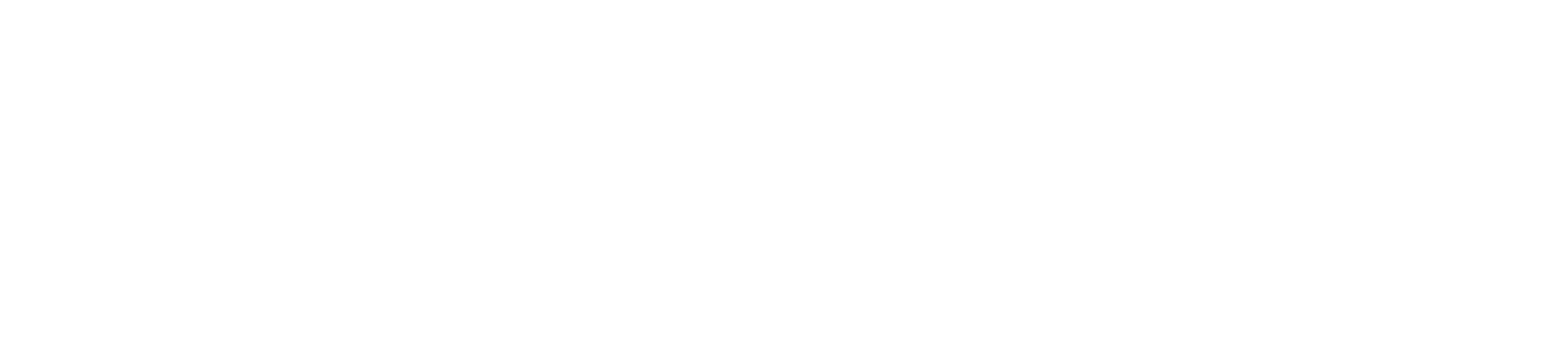 FYZICAL